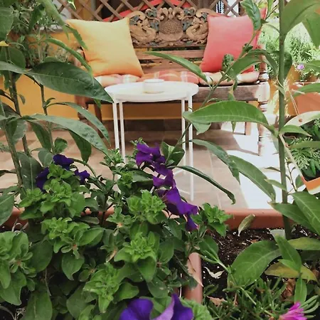 Accommodatie bij particulieren Dudi's Peppers *