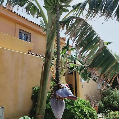Dudi's Peppers Homestay *